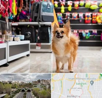 فروشگاه لوازم سگ در یوسف آباد 