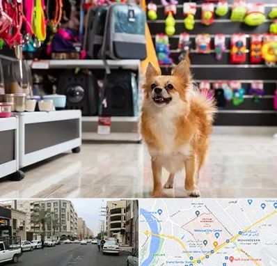 فروشگاه لوازم سگ در زیتون کارمندی اهواز