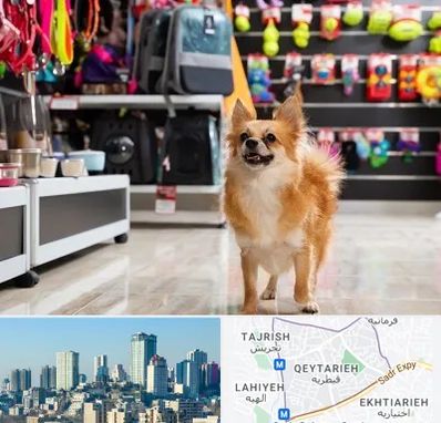 فروشگاه لوازم سگ در قیطریه 