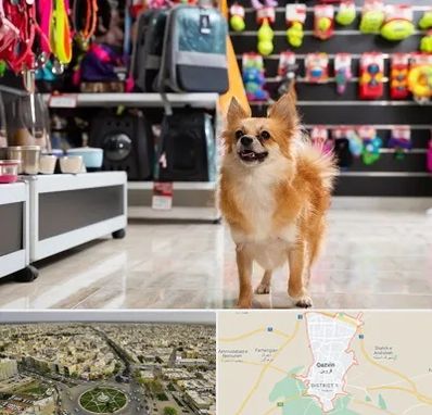 فروشگاه لوازم سگ در قزوین