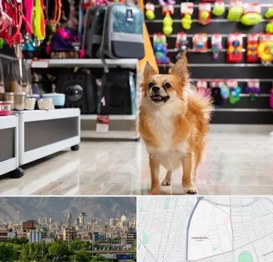 فروشگاه لوازم سگ در جمشیدیه