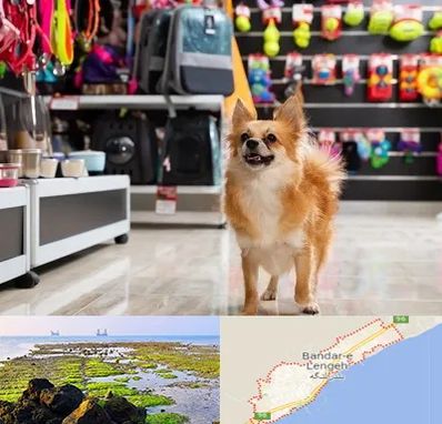 فروشگاه لوازم سگ در بندرلنگه