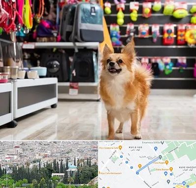 فروشگاه لوازم سگ در محلاتی شیراز