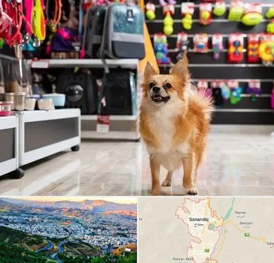 فروشگاه لوازم سگ در سنندج