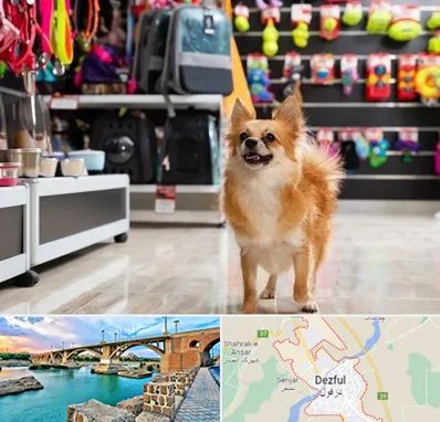 فروشگاه لوازم سگ در دزفول