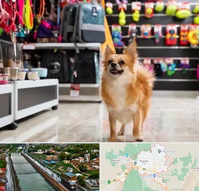 فروشگاه لوازم سگ در مراغه