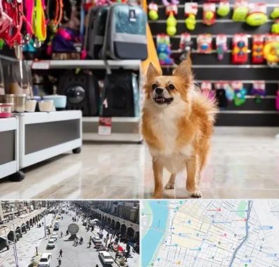 فروشگاه لوازم سگ در نادری اهواز