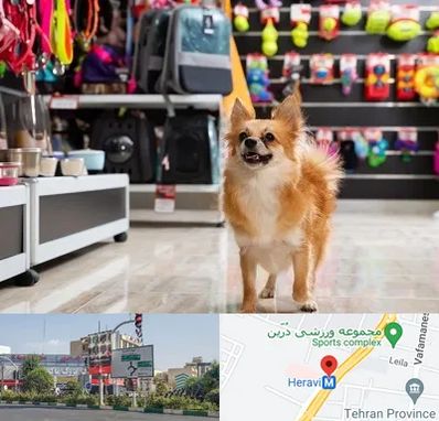 فروشگاه لوازم سگ در هروی