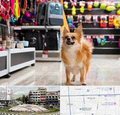 فروشگاه لوازم سگ در مرکز تهران