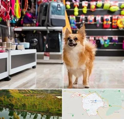 فروشگاه لوازم سگ در بهبهان