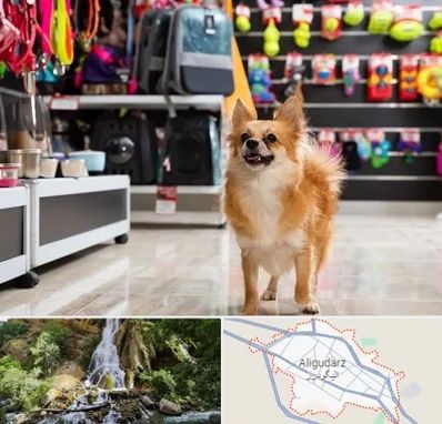 فروشگاه لوازم سگ در الیگودرز