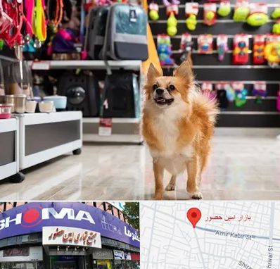 فروشگاه لوازم سگ در امین حضور