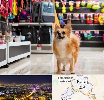 فروشگاه لوازم سگ در کرج