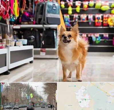 فروشگاه لوازم سگ در نظرآباد کرج