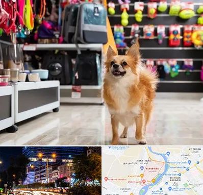 فروشگاه لوازم سگ در کیانپارس اهواز