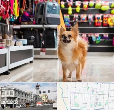 فروشگاه لوازم سگ در 17شهریور