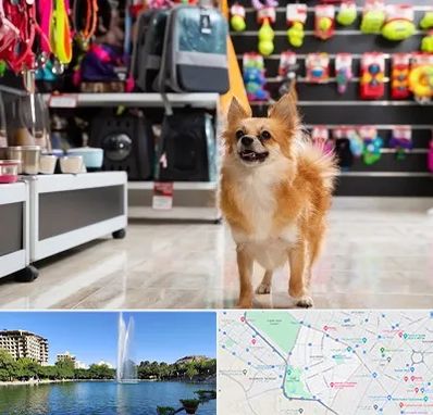 فروشگاه لوازم سگ در کوهسنگی مشهد