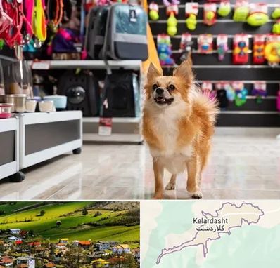 فروشگاه لوازم سگ در کلاردشت