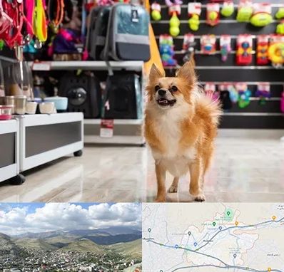 فروشگاه لوازم سگ در رودهن