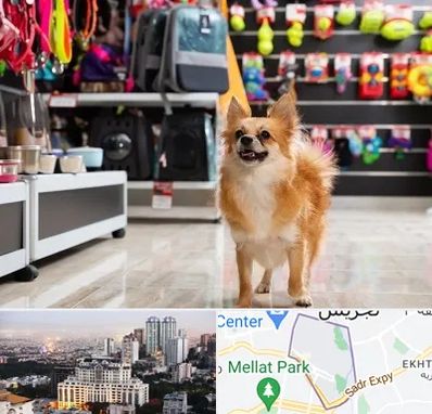 فروشگاه لوازم سگ در الهیه 