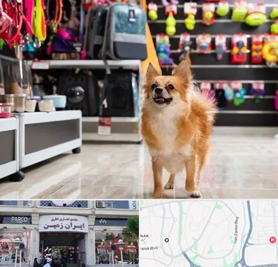 فروشگاه لوازم سگ در ایران زمین