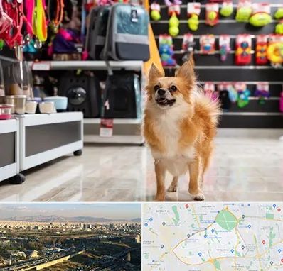 فروشگاه لوازم سگ در منطقه 19 تهران