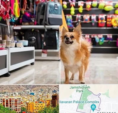 فروشگاه لوازم سگ در نیاوران 