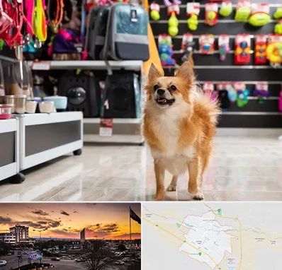 فروشگاه لوازم سگ در قوچان