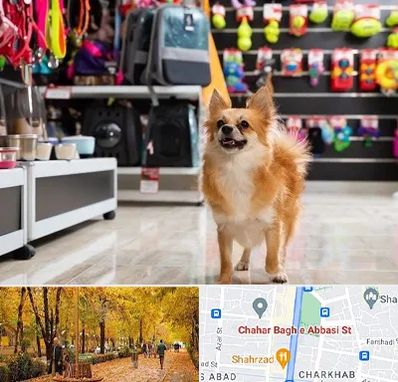 فروشگاه لوازم سگ در چهارباغ اصفهان