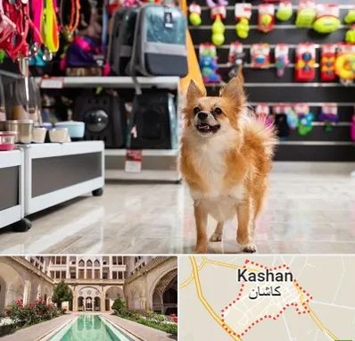 فروشگاه لوازم سگ در کاشان
