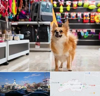 فروشگاه لوازم سگ در ماهدشت کرج