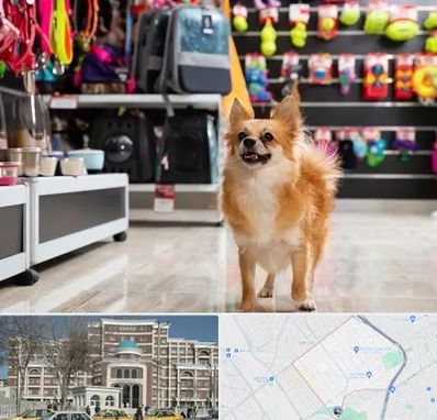 فروشگاه لوازم سگ در طلاب مشهد