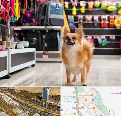 فروشگاه لوازم سگ در خیابان نیایش شیراز