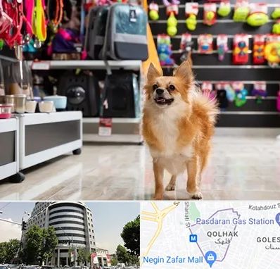 فروشگاه لوازم سگ در قلهک