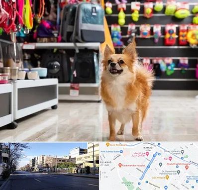 فروشگاه لوازم سگ در خیابان ملاصدرا شیراز