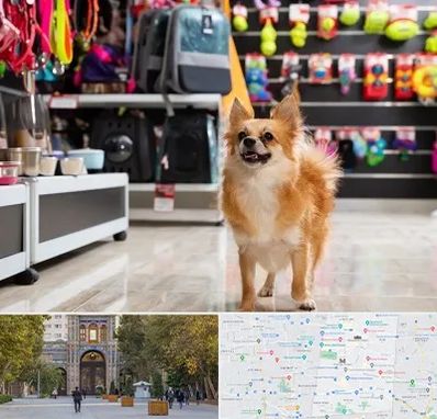 فروشگاه لوازم سگ در منطقه 12 تهران