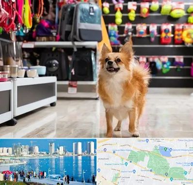 فروشگاه لوازم سگ در چیتگر 