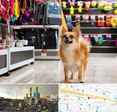 فروشگاه لوازم سگ در رسالت