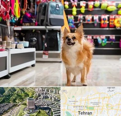فروشگاه لوازم سگ در شمال تهران