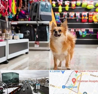 فروشگاه لوازم سگ در اقدسیه 