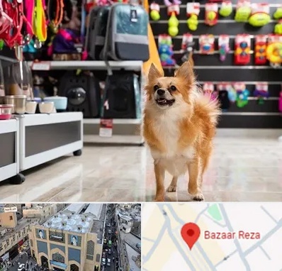 فروشگاه لوازم سگ در بازار رضا مشهد