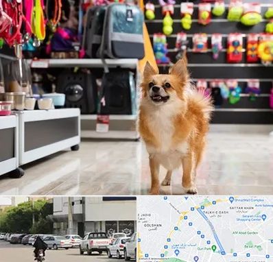 فروشگاه لوازم سگ در قدوسی شرقی شیراز