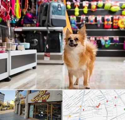 فروشگاه لوازم سگ در عطاران قم