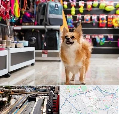 فروشگاه لوازم سگ در ستارخان شیراز