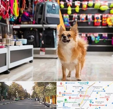 فروشگاه لوازم سگ در شریعتی