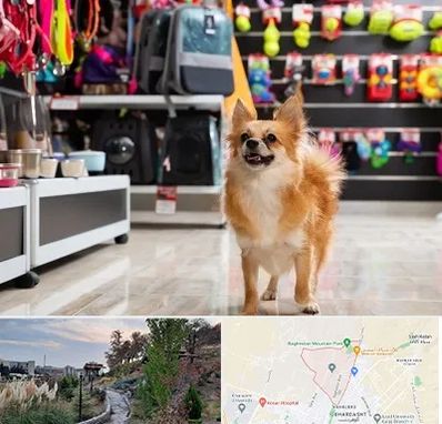 فروشگاه لوازم سگ در باغستان کرج