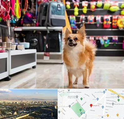 فروشگاه لوازم سگ در هنگام