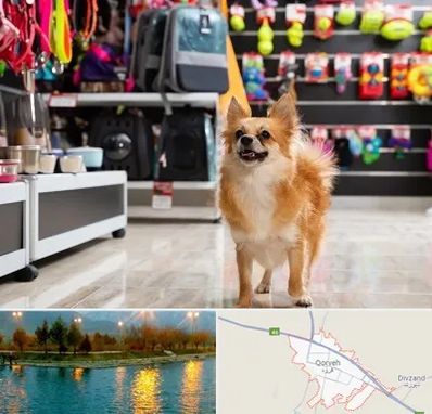 فروشگاه لوازم سگ در قروه