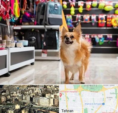 فروشگاه لوازم سگ در مرزداران 