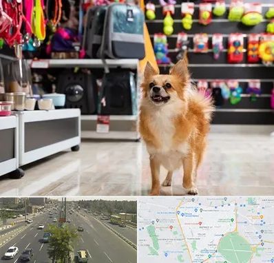 فروشگاه لوازم سگ در منطقه 17 تهران